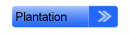 Plantation Plantation