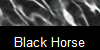 Black Horse