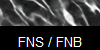 FNS / FNB