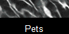 Pets